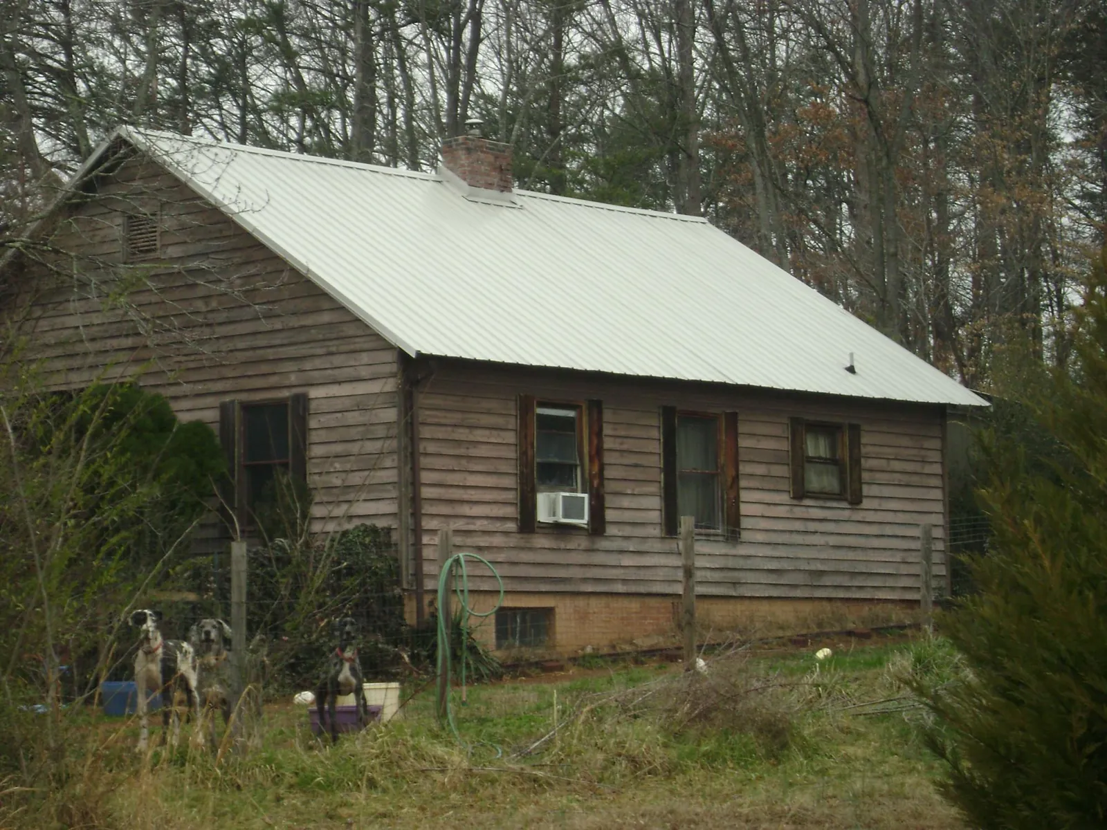 White metal roof on an old wood sided farmhouse, from a Asphalt Shingle Roof Repair job in Reeseville